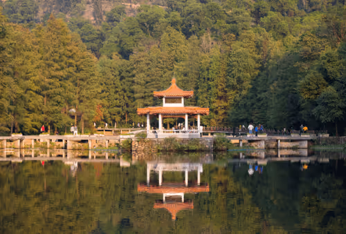 Item #75910940865497505828175027712835434878511904351959988832947875655080669610084 Media