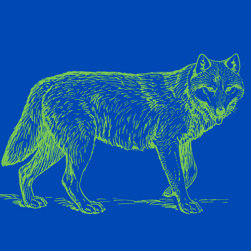 Item #25506781774429673479118459037672467037102609755826934466658808685346743648257 Media