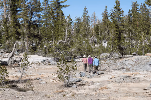 Item #21039072579662627083950365953116691379862102836667231441019030769129920397322 Media