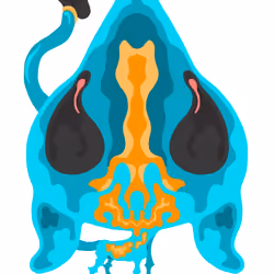 Fluid Dog