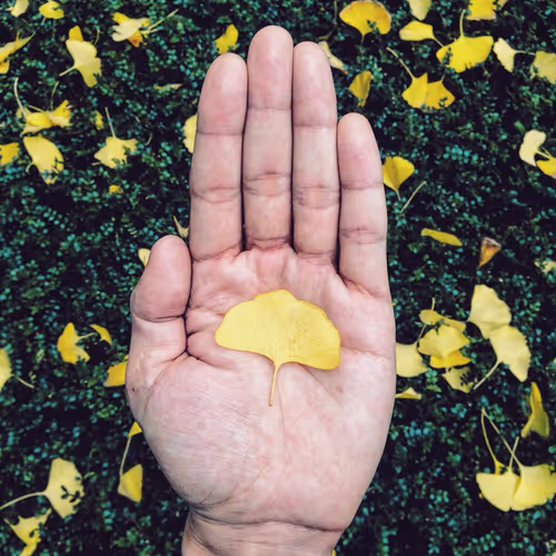 Item #110455694732608969814569818994873767172534514500119104126523392734297203933226 Media