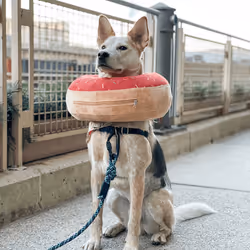 93545033271846001454118804230311667247513649279000342993662872577091110436865