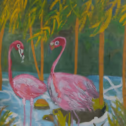 flamingos