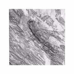 Mount Dena - Zagros Mountain Range Puzzle #Extra