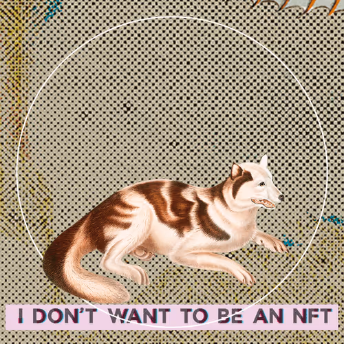 Item #3530187889540553224700552633621350802399192504372702264799301438243942170625 Media