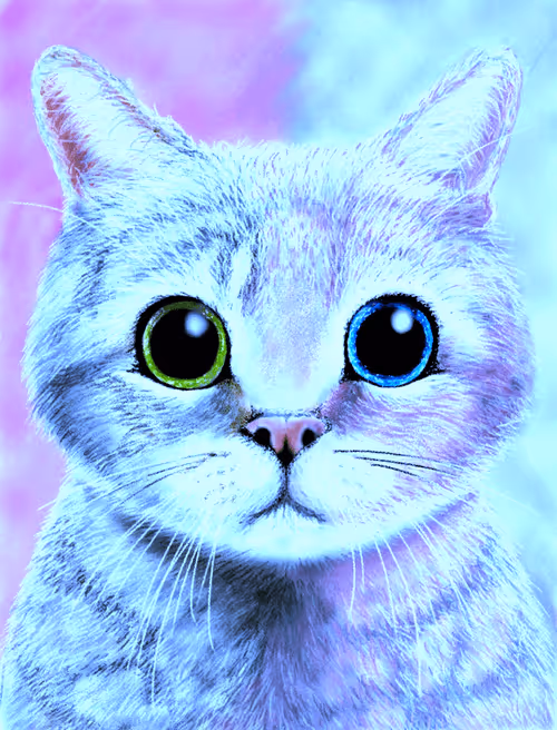 Item #56621992303262747893271366005093707345711101762340673219461019440985805946881 Media