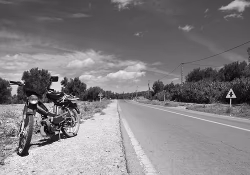 Item #44700108579651333138667542629820837396884608340507399849221760709861889277953 Media