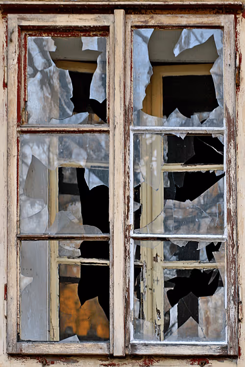 Item #72771752724512834897841148734331697196499953349916527017693403110272785186916 Media