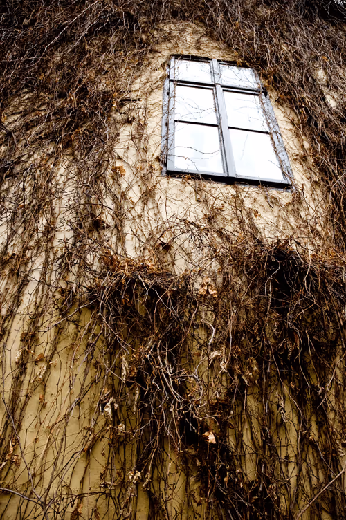 Item #72771752724512834897841148734331697196499953349916527017693403112471808442468 Media