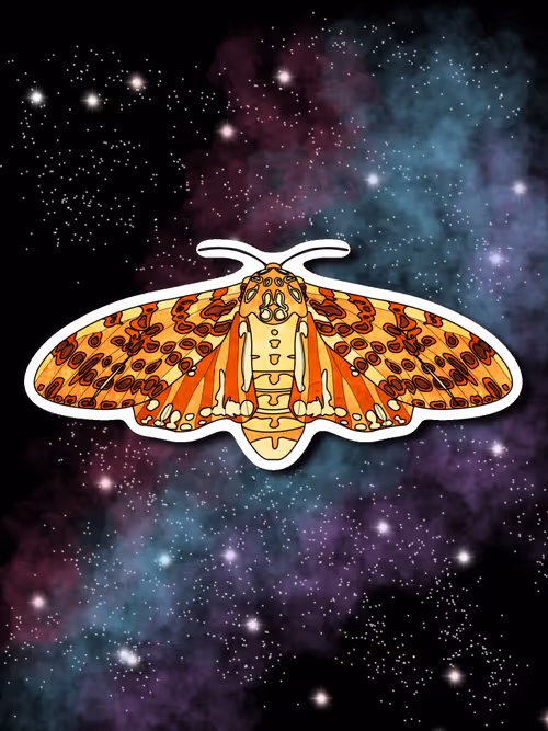 Item #26695375726130491819846042962505402337385115040526357390892607944603702657025 Media