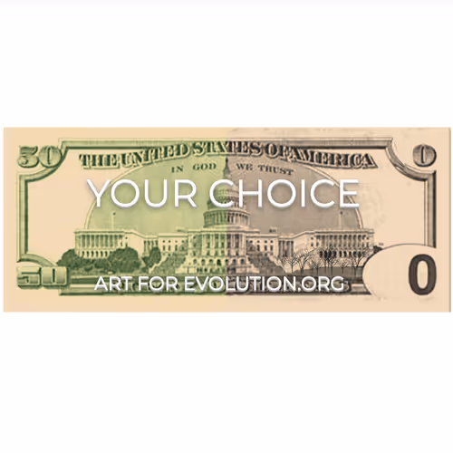 Item #31477279579641573199519475175629522193396690464936458658466704641580752439248 Media