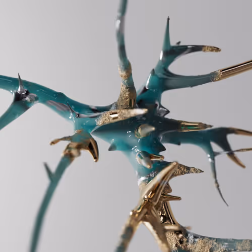 Nicolas-Koenig Collection