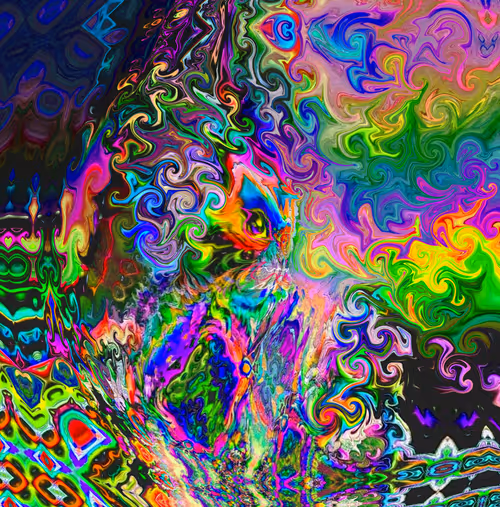 Item #51117421357665924441405048379114755491346158154575365321561668756369179673076 Media