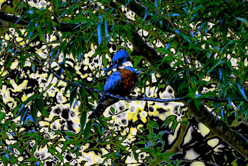 Item #97472780855113725442361506406406632137290984226550429674679319528649609183233 Media