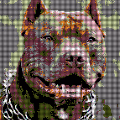 American Pitbull Terrier / Dangerous Dog Breeds