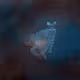 73777821816234188676010141181743158717313755155859008617469405005977925713930