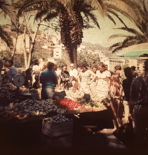 Item #99229842247812193492092246635526113316383887000586294441888985100909816053761 Media