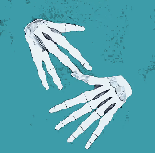 Item #62616844009388716191250310399153165393332022025774576993202299362851665477633 Media