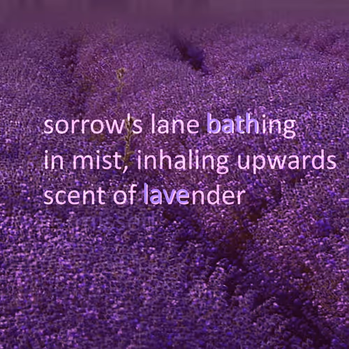 48289997999590210334063077456393509528592056807732048907342275343676006727681