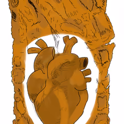 The Wooden Heart - Unconditional Love