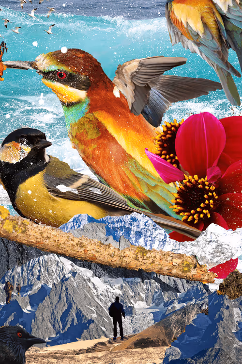 Item #38505810138693933868776507071798169226744493251616044922787292520927941623809 Media