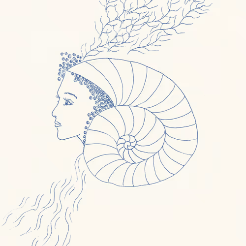 Item #51804989406086539257642118056399717461974322341551702856420293144020114210817 Media