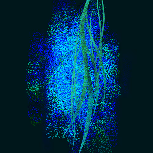 Item #54223942118458018475773761912515880898679735035654901743236843510117003428090 Media