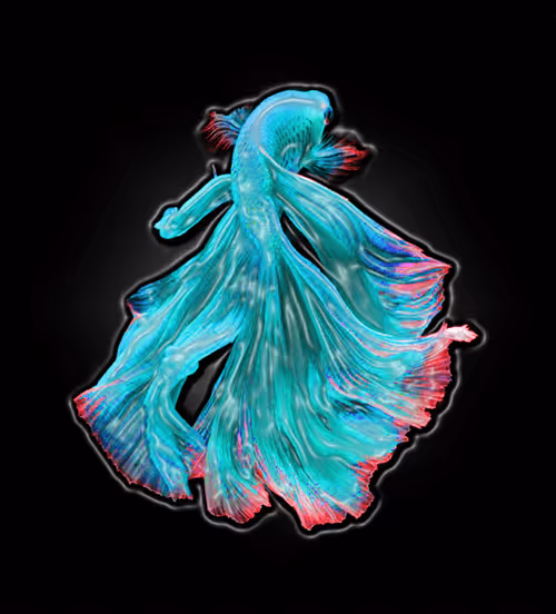 Item #73423654428024661336379470947819889295714855264791127270755008414892400050216 Media