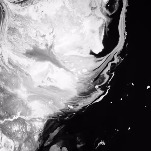 Untitled Collection #255077315