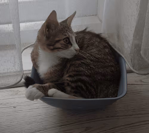 Untitled Collection #467023980