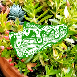 LECHAIM - RADIOACTIVE GREEN