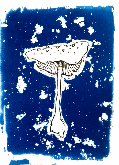 Item #79708962715556691089278777526445721574606898875148265995553784948002230632449 Media