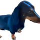74388183107571848256633446996010033662379072698002169646249461046557806690305