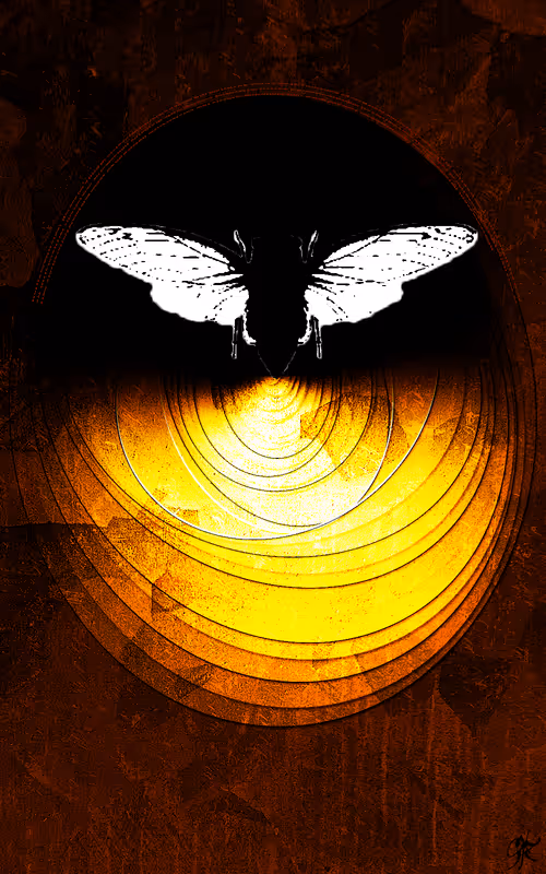 Item #103022011508213349138804114197479979300508408928716116769051023650452506935297 Media