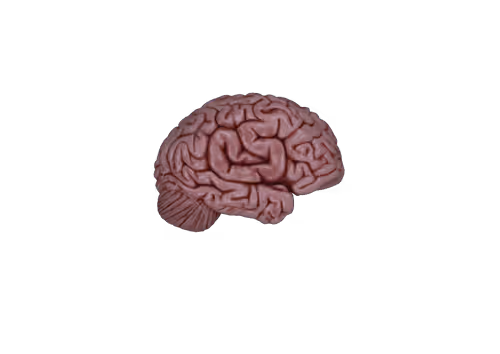 Item #34852186502624217453829761604999891751563499599124739945275168402122179870721 Media