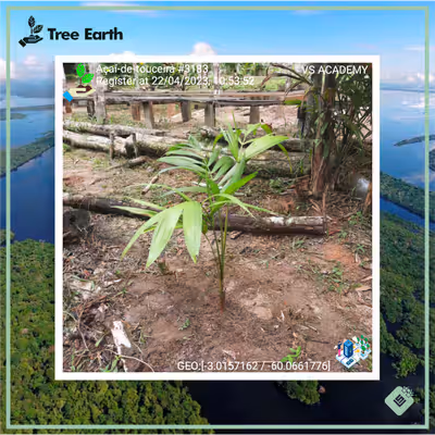 Item #8500196597889277390194123329501889087166328879864934763448349342685802266625 Media