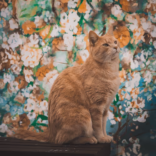 Item #108333172836631629328696584714053398631603269563571358519615745298722034024449 Media