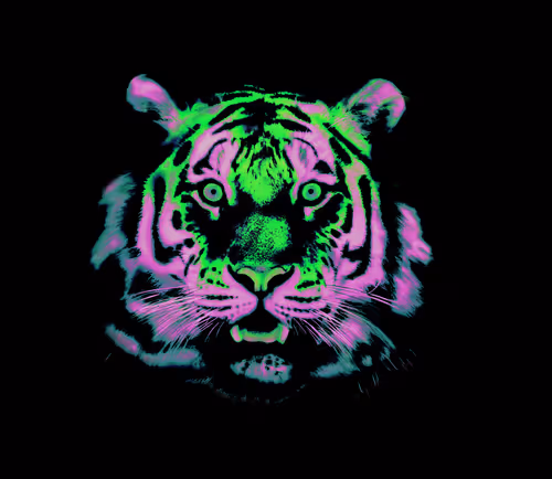 Item #59191331976373817351168936275193705412897253256458674987346138606100063191041 Media