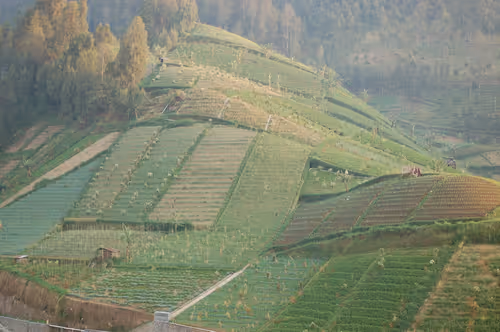 Item #10921472281899964169532918849758086679170676756240661664806421754167747936257 Media