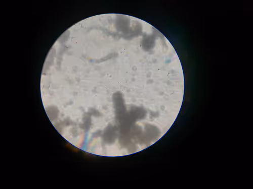 Item #12499860690887257293727532681291822536045842218714555575181684128581649694721 Media