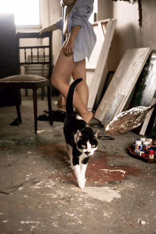 Item #100362435942799859759029508366098881533917623806913127339046298563501992443905 Media