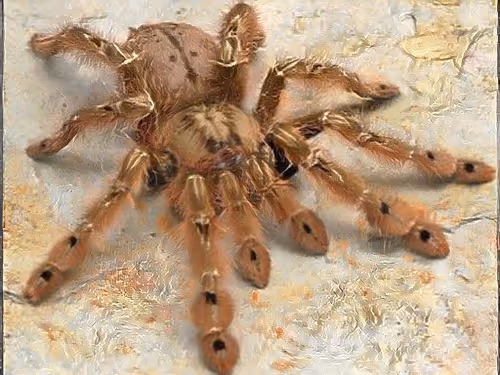 Item #40646351602563922133697867033878850405605105589938510297000370424920500338698 Media