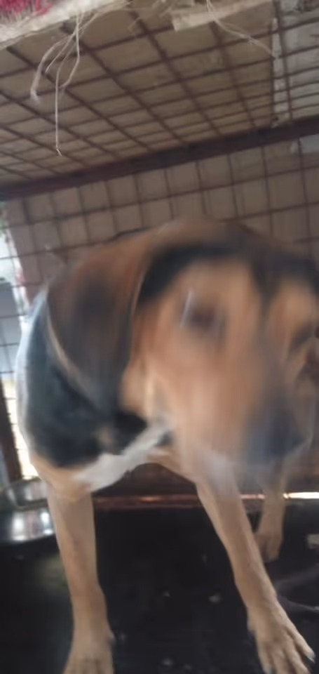 Item #23439807421783349604606688817165201350165750151979961366033252223804688564225 Media