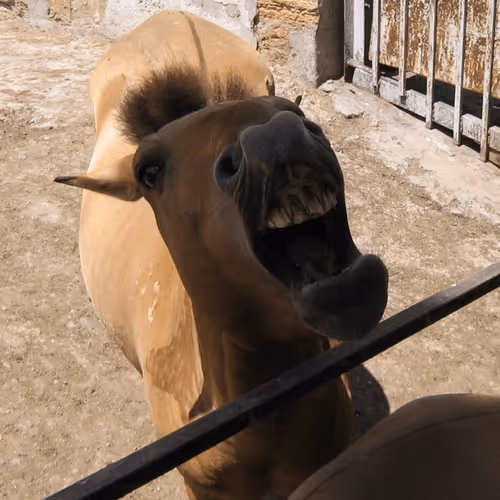 Untitled Collection #83479955