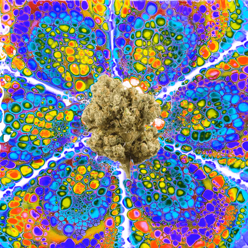 13955282856406335165414100891374623718709547313428947888299033920872439087114