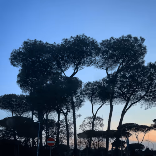 Item #5877388594710505456325712509569170131061927261962223196158836666122962468865 Media