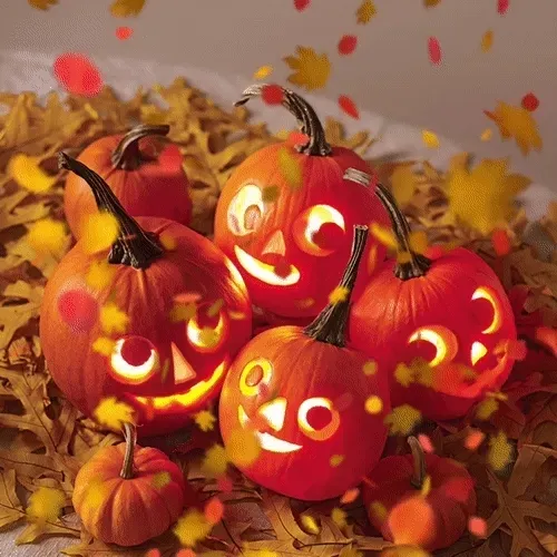 15081463501546268006596121588316872326209313817998412847676536865339759132673