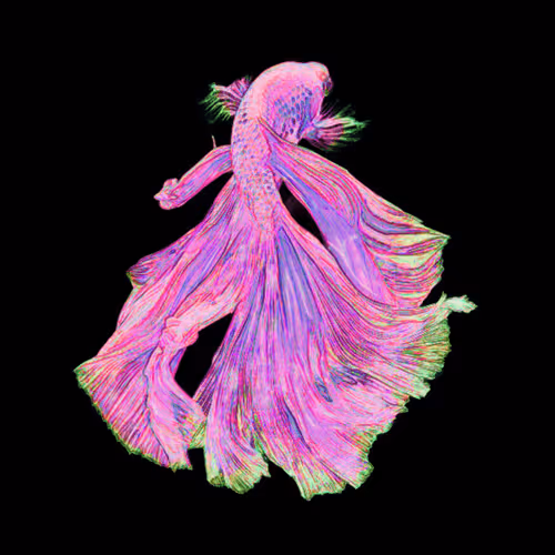 Item #73423654428024661336379470947819889295714855264791127270755008403897283772456 Media