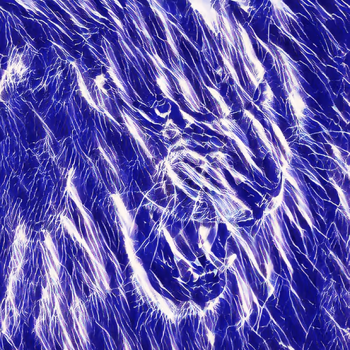 Item #52425573336092519837726043644508007242056972111982820683155420159115517755393 Media