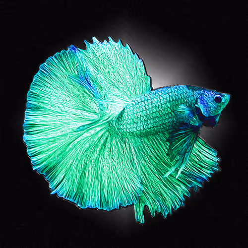 Item #73423654428024661336379470947819889295714855264791127270755008430285562839060 Media